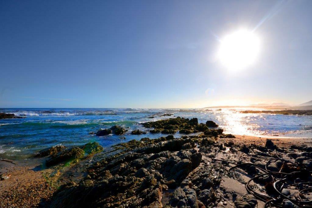 Saffron Cottage Hermanus Εξωτερικό φωτογραφία